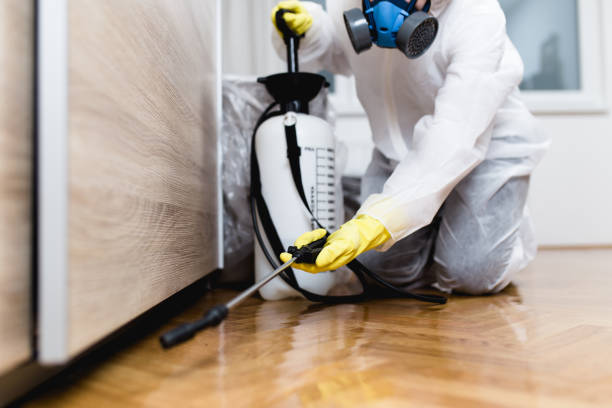 Best Pest Prevention Services  in Etowah, TN