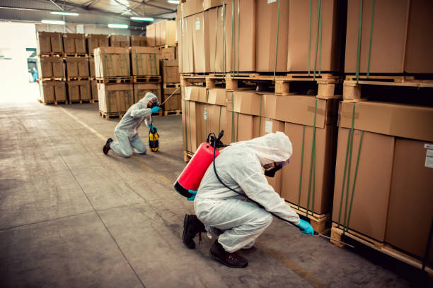 Best Bed Bug Extermination  in Etowah, TN
