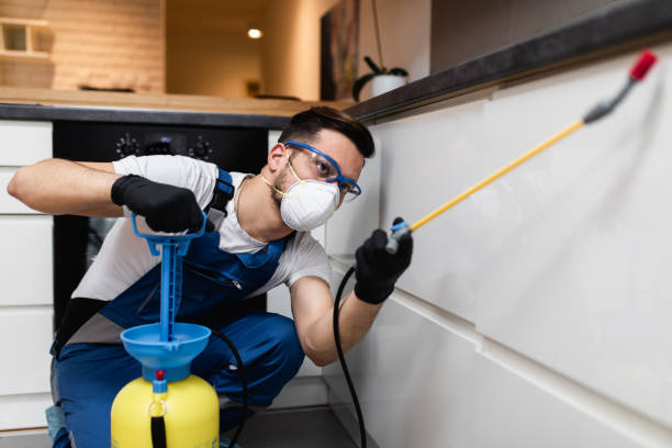 Best Best Pest Control Companies  in Etowah, TN