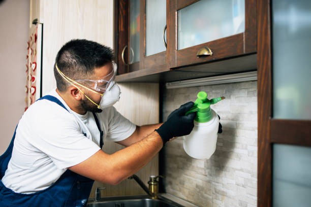 Best Best Pest Control Companies  in Etowah, TN