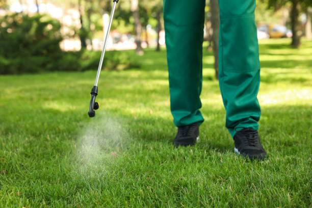 Best Affordable Pest Control Services  in Etowah, TN