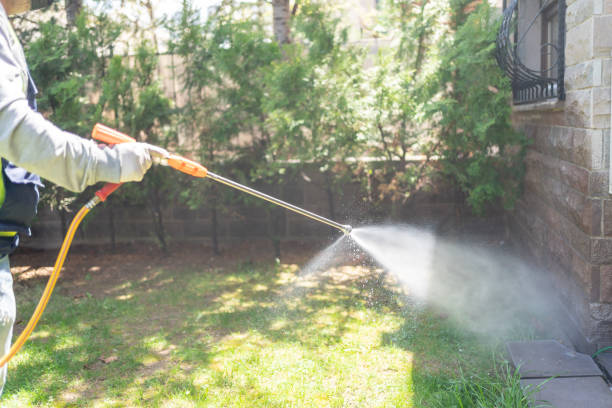 Spider Control Near Me in Etowah, TN