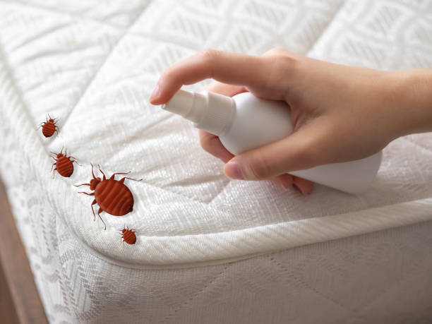 Best Residential Pest Control  in Etowah, TN