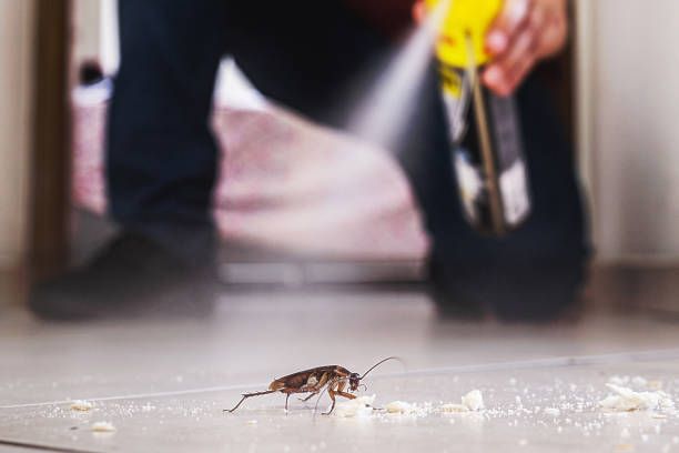 Best Emergency Pest Control  in Etowah, TN