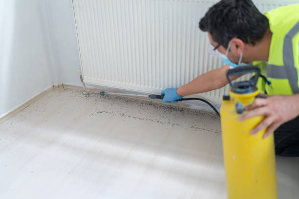 Best Exterminator Services  in Etowah, TN